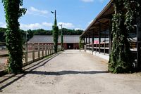 Heirweghof [Paardenpension]